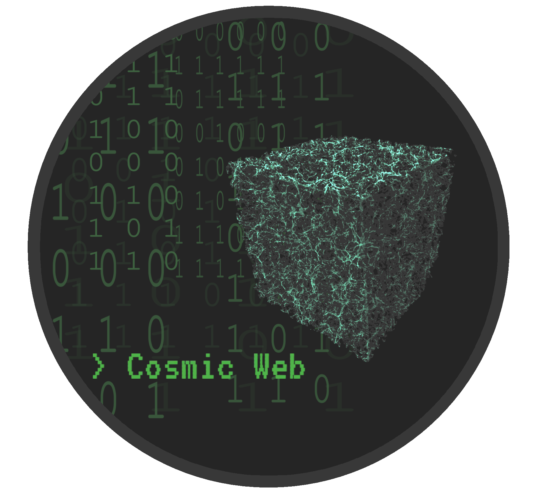 Cosmic Web